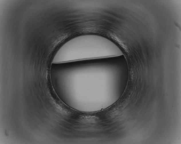 X0000092240637200709141004