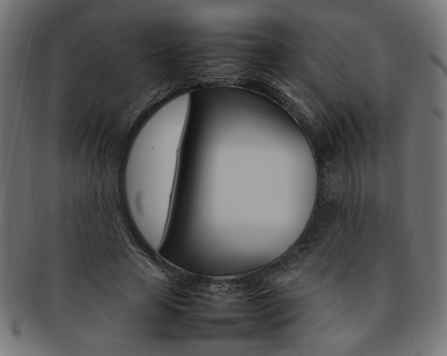 X0000092240641200709141004