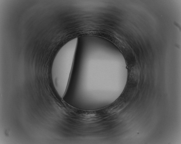 X0000092240651200709141004