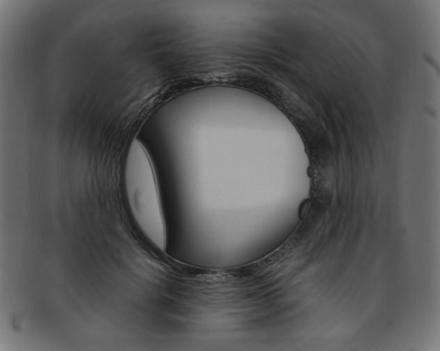 X0000092240652200709141004