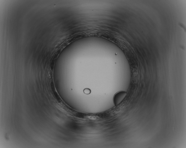 X0000092240654200709141004