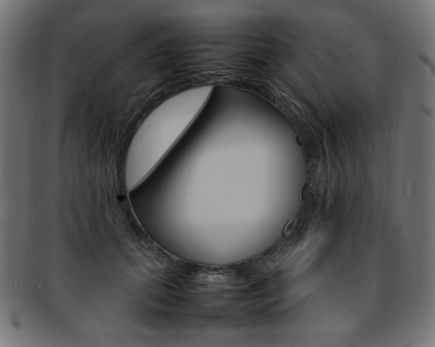 X0000092240655200709141004