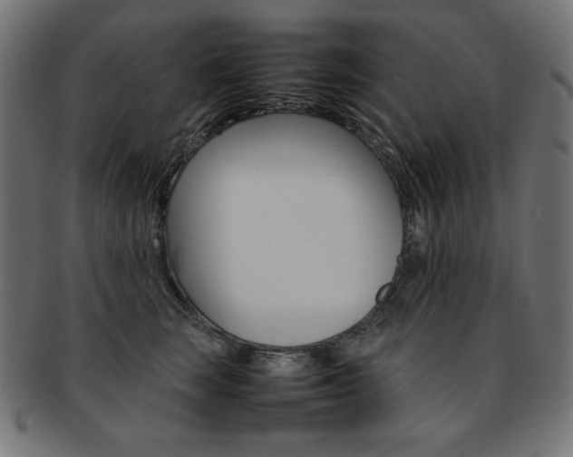 X0000092240663200709141004