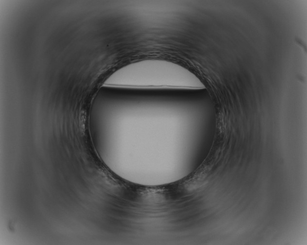 X0000092240664200709141004