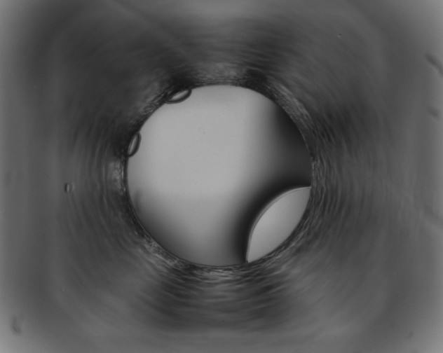 X0000092240669200709141004