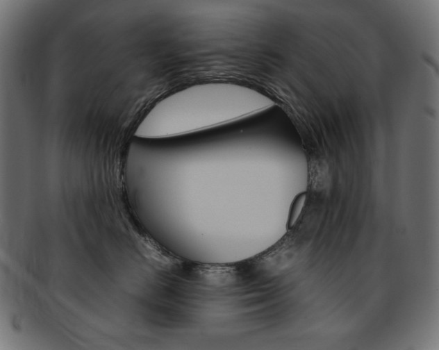 X0000092240670200709141004