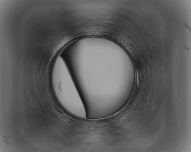X0000092240675200709141004