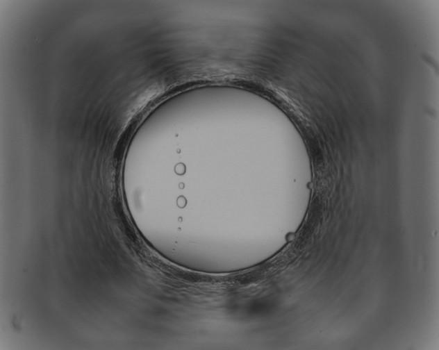 X0000092240679200709141004