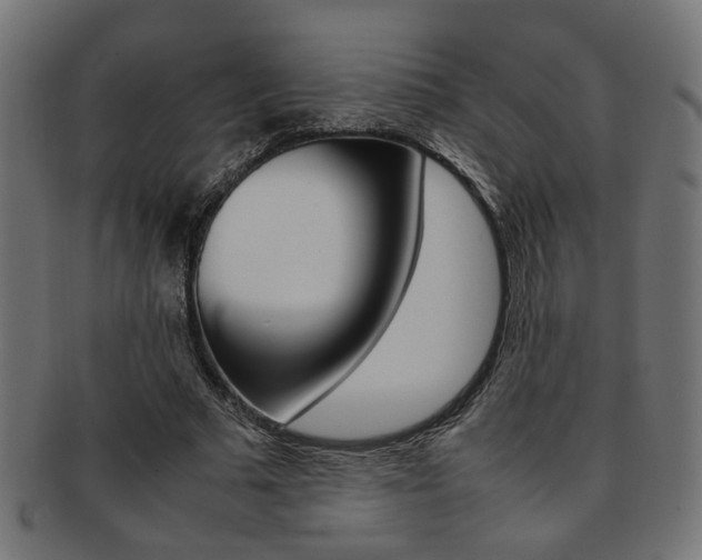 X0000092240681200709141003