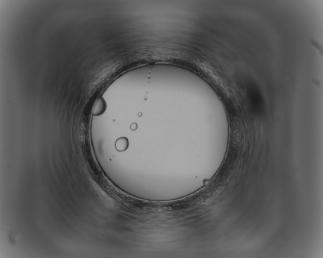 X0000092240683200709141003