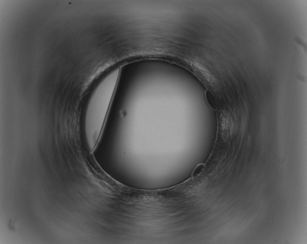 X0000092240684200709141003