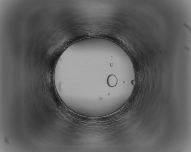 X0000092240691200709141003