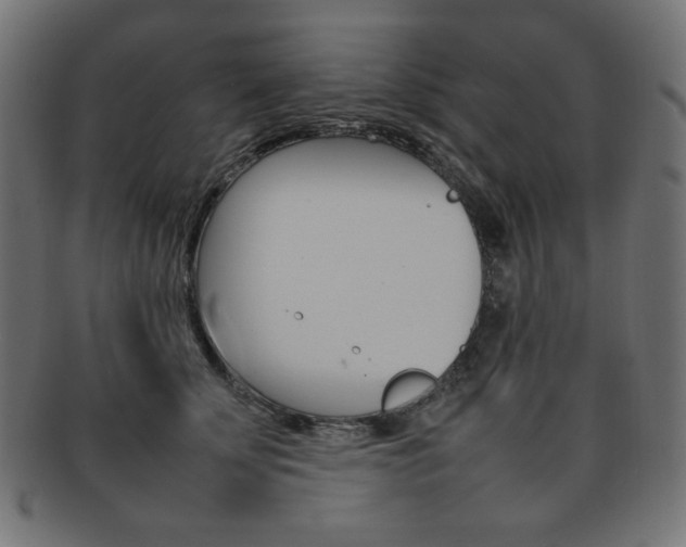 X0000092240707200709141003