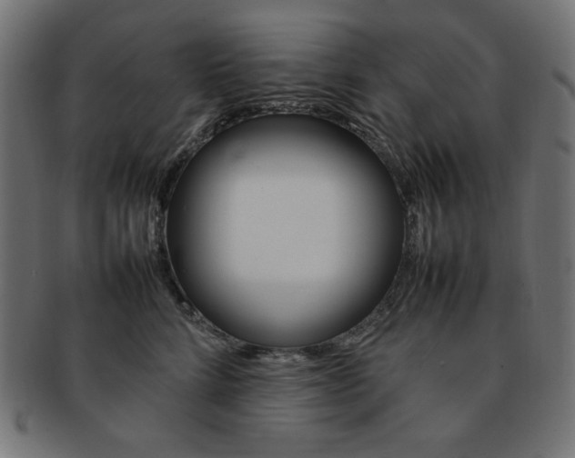 X0000092240712200709141003