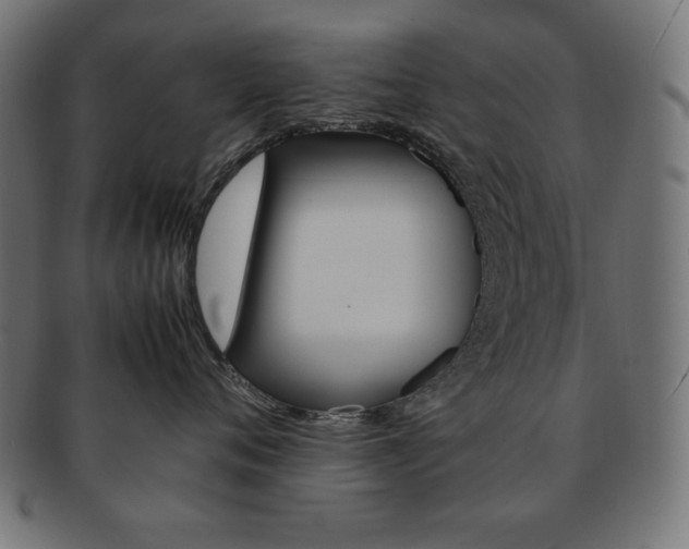 X0000092240720200709141003