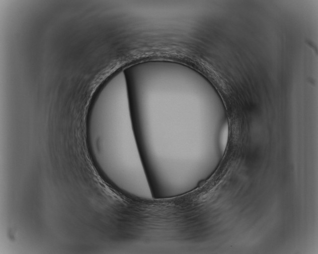 X0000092240721200709141002