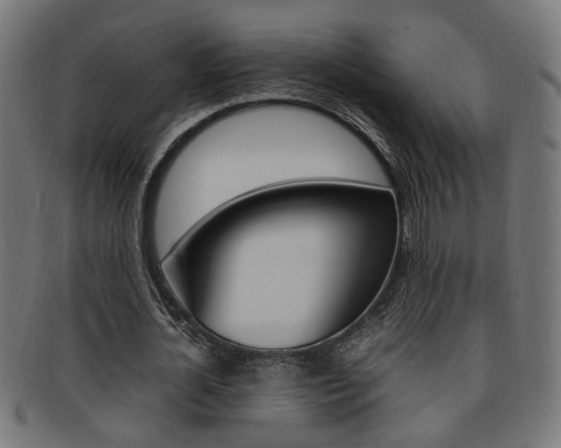 X0000092240724200709141002