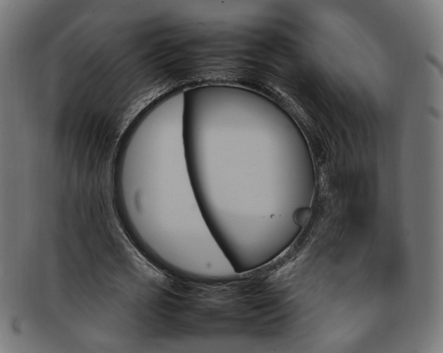 X0000092240725200709141002