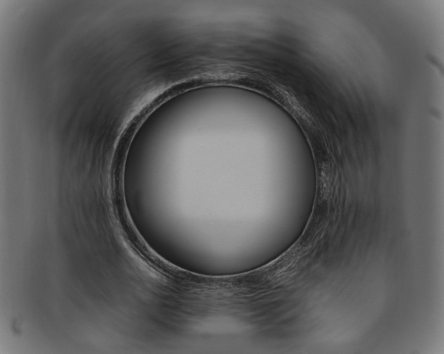 X0000092240726200709141003