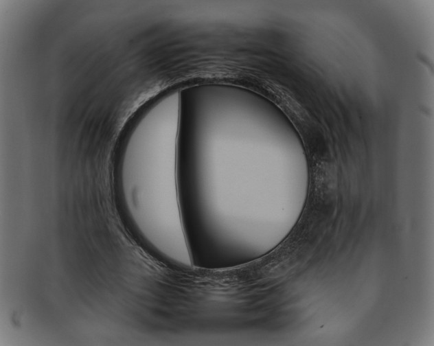 X0000092240727200709141003