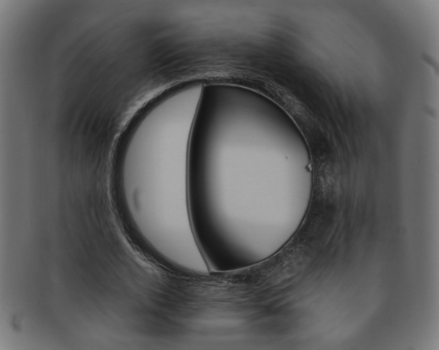 X0000092240728200709141003