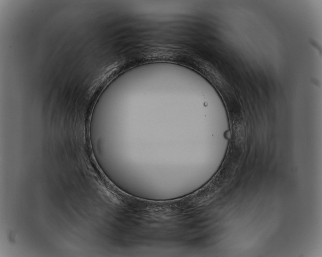 X0000092240729200709141003