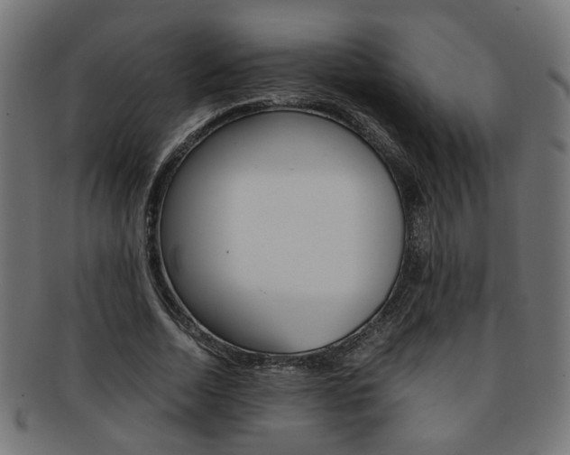 X0000092240730200709141003