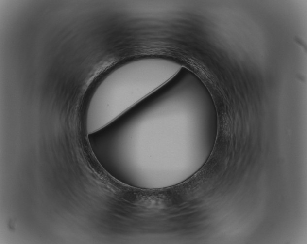 X0000092240731200709141003