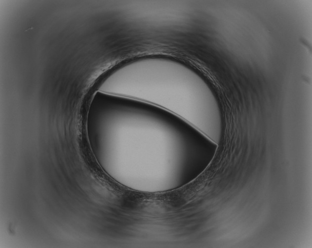 X0000092240732200709141003