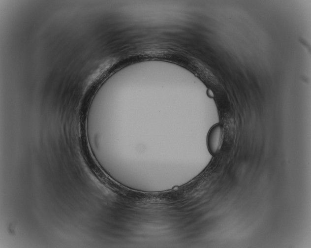 X0000092240734200709141003