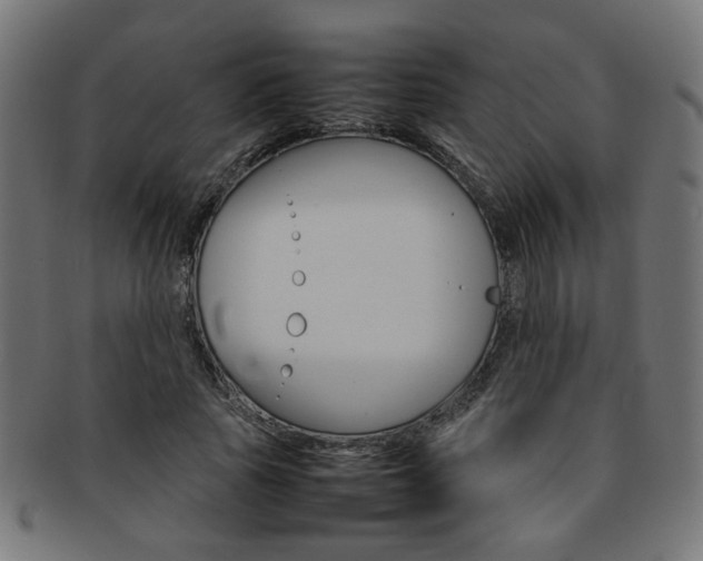 X0000092240737200709141003