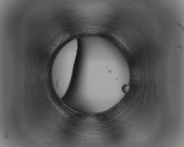 X0000092240738200709141003
