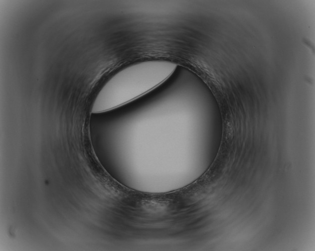 X0000092240739200709141003