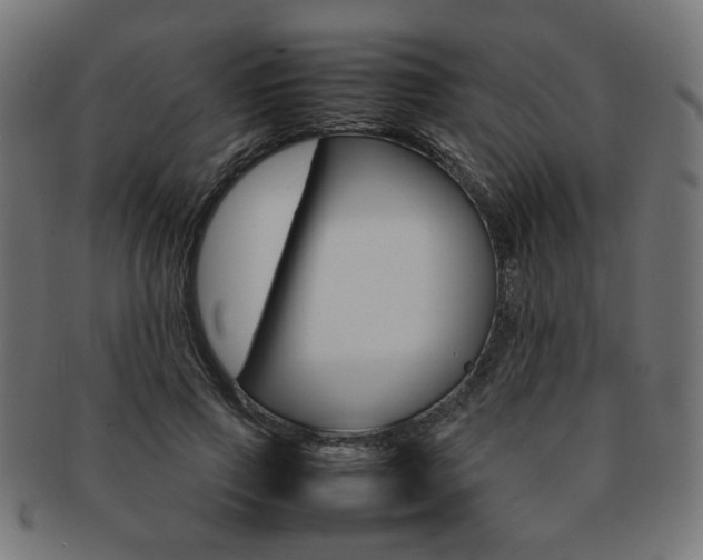 X0000092240741200709141003