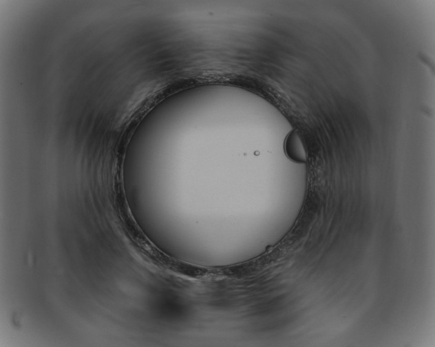 X0000092240742200709141003