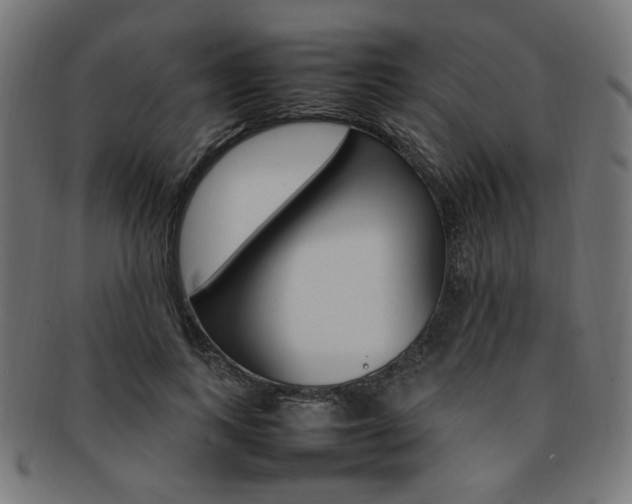 X0000092240743200709141003
