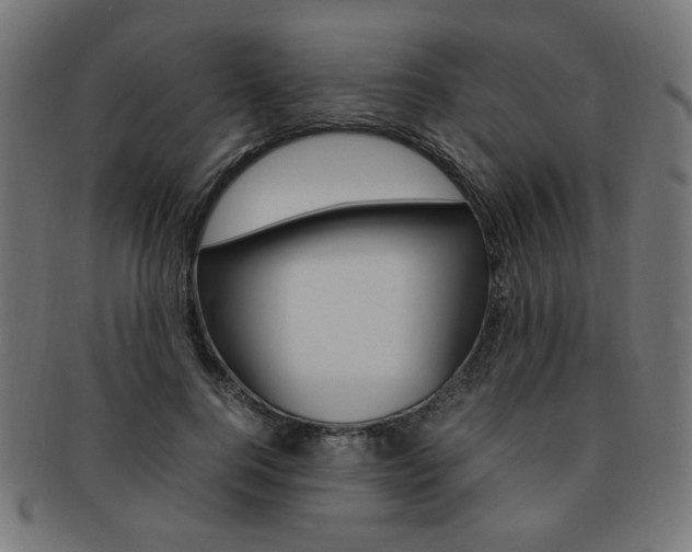 X0000092240744200709141003