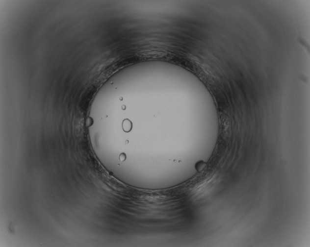 X0000092240745200709141003