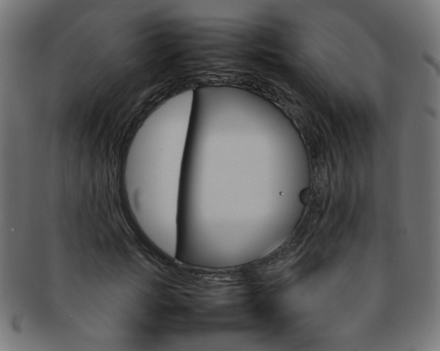 X0000092240749200709141003