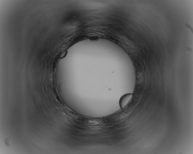 X0000092240753200709141003