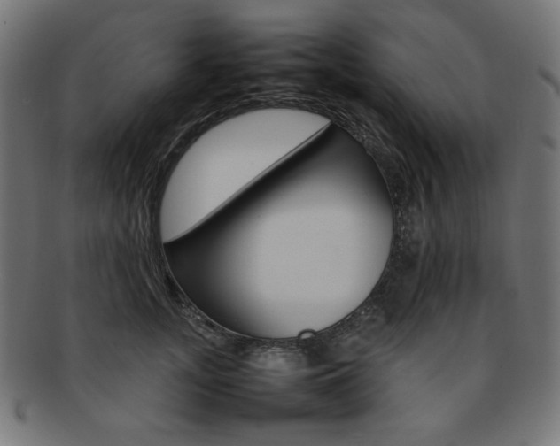 X0000092240755200709141003