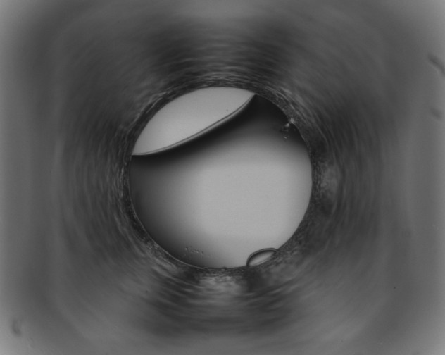 X0000092240759200709141003