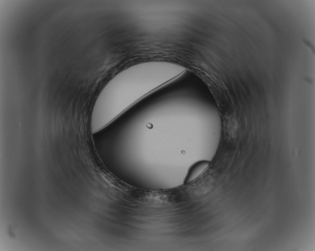 X0000092240760200709141003
