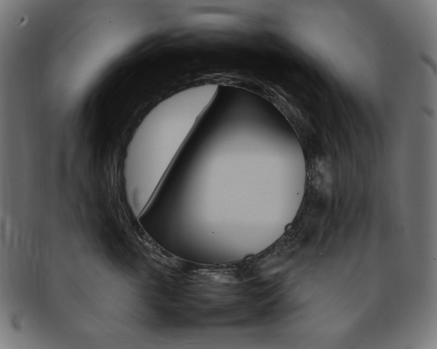 X0000092240763200709141003