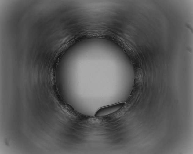 X0000092240764200709141003