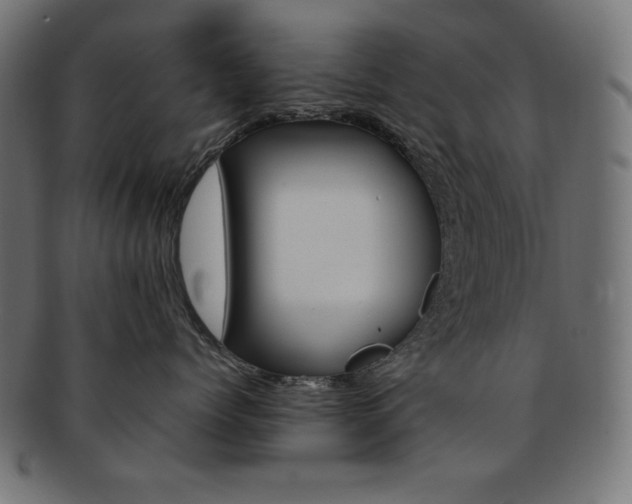 X0000092240768200709141003