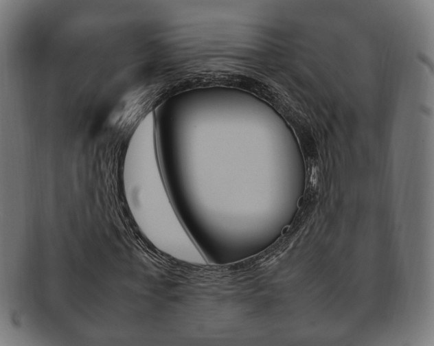 X0000092240771200709141002