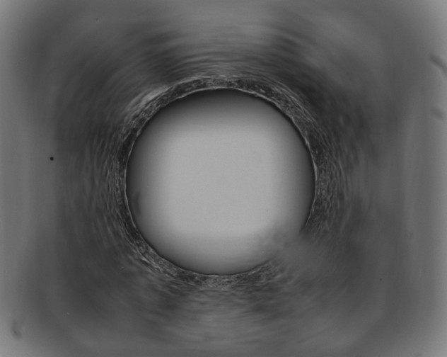 X0000092240773200709141002