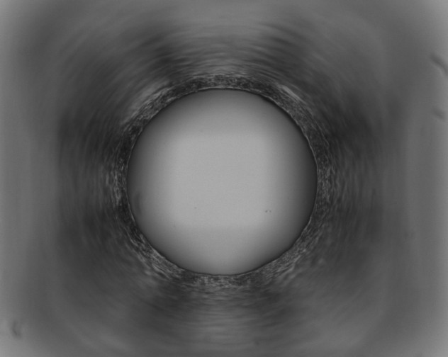 X0000092240774200709141002