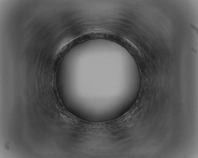 X0000092240775200709141002